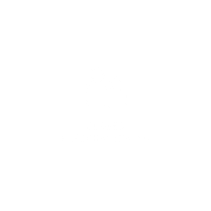 iconos 01