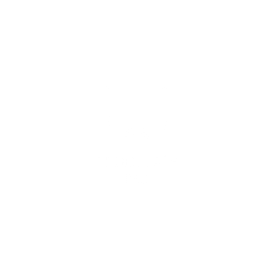 iconos 03