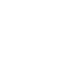 iconos 05